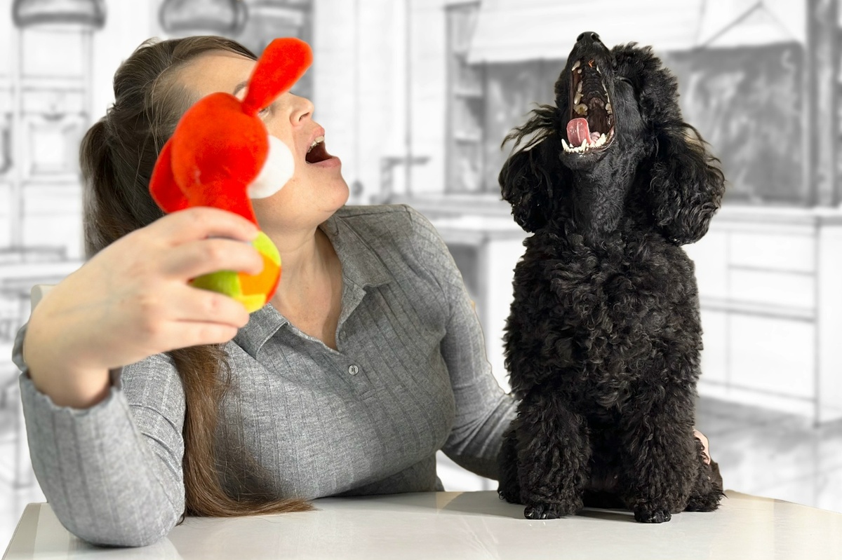 В нашей группе мы говорим о собаках как о партнёрах, а не исполнителях. Здесь — нет команд, только диалог. Нет наказаний, только понимание.