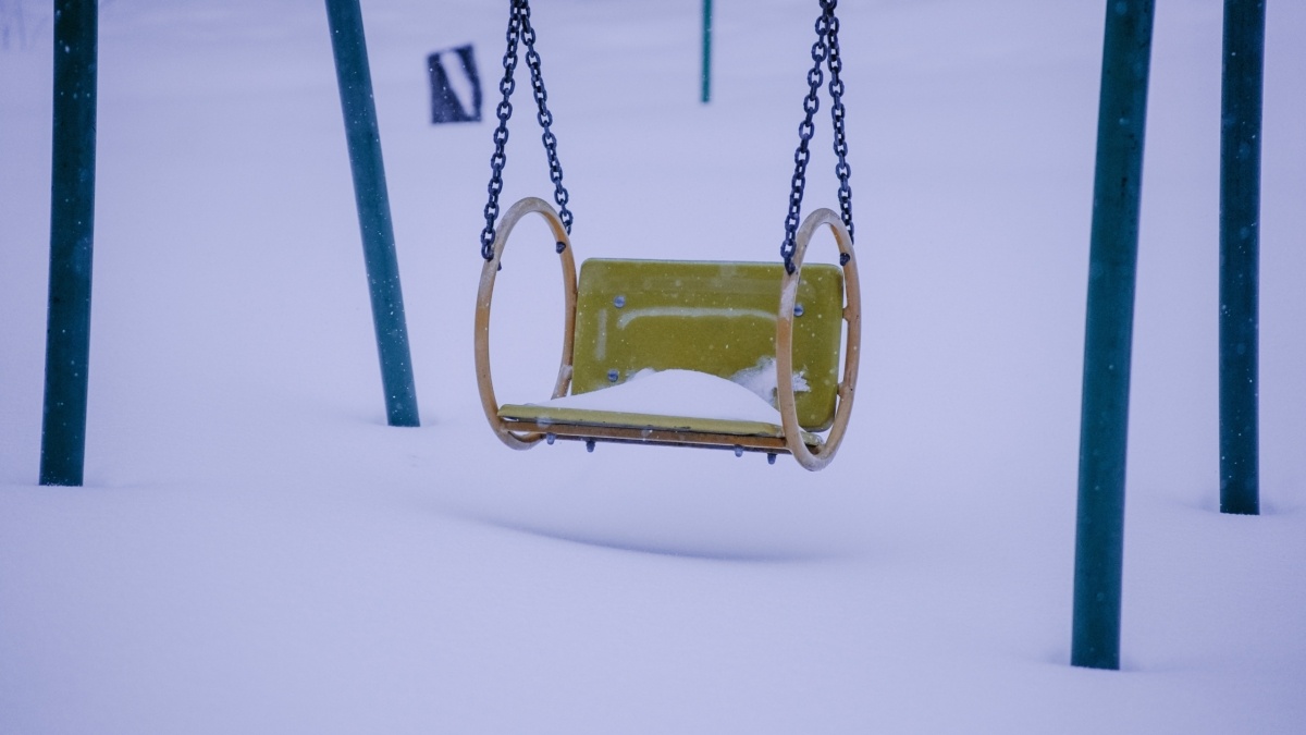 Светлана Мулыкина📷
