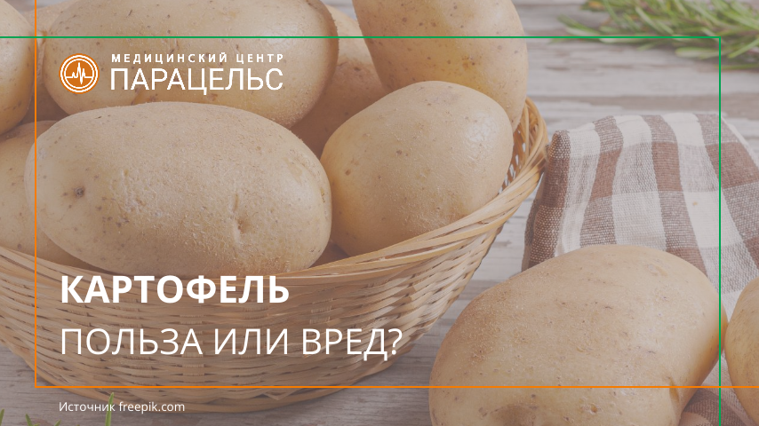 КАРТОФЕЛЬ: ПОЛЬЗА ИЛИ ВРЕД?