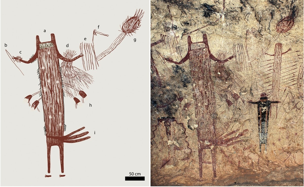 Фото: Steelman et al./ Science Advances