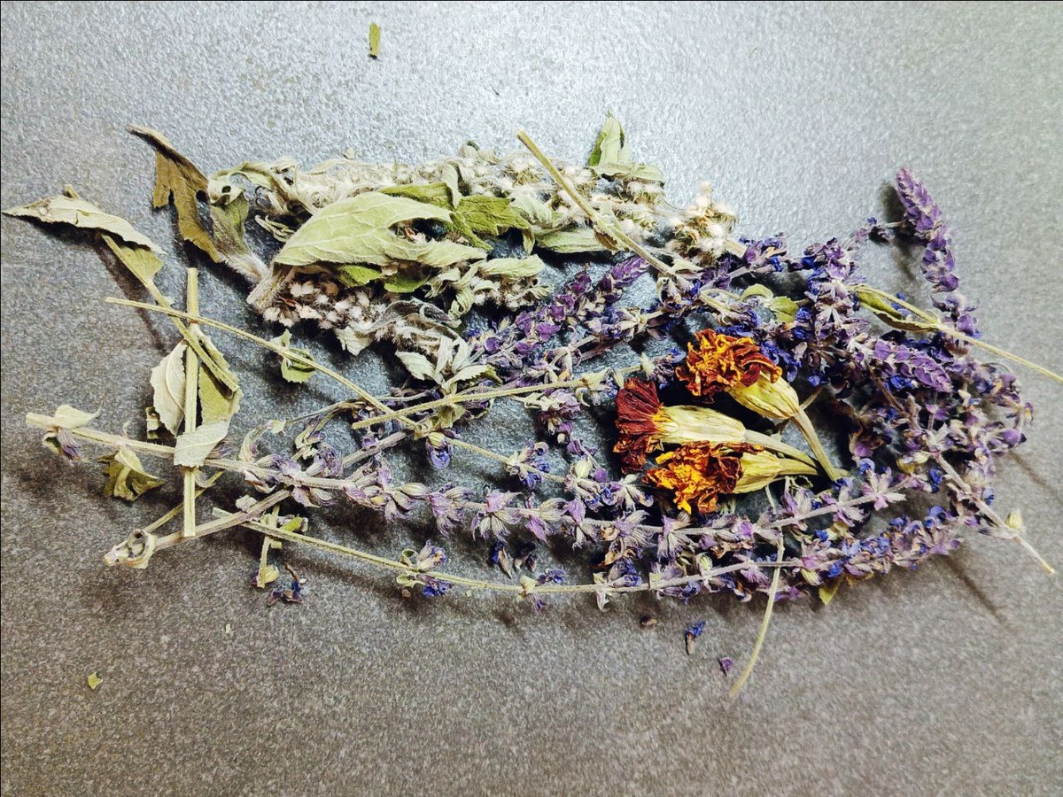 Сбор: шалфей, пустырник, бархатцы