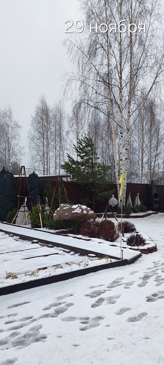 На следующий день