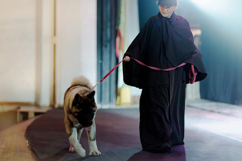     Автор фото: Дарья Шатова