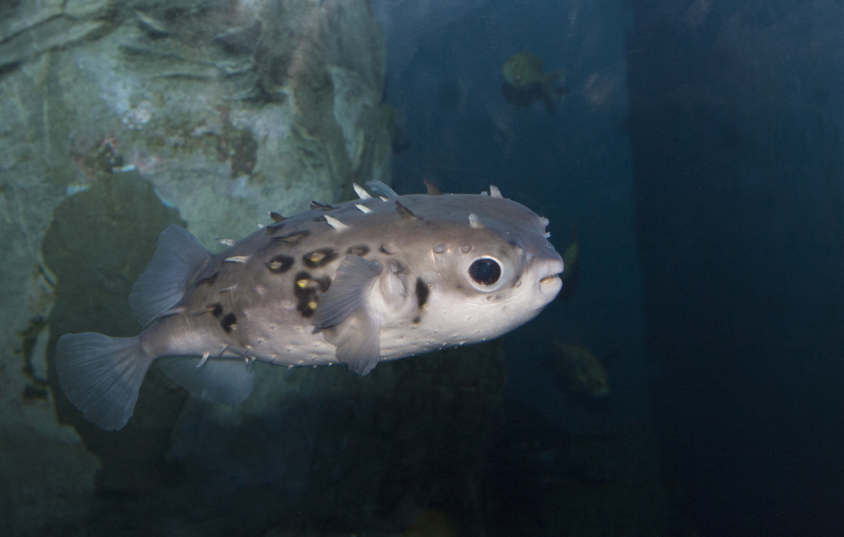 Eugene Drobitko/Shutterstock/FOTODOM