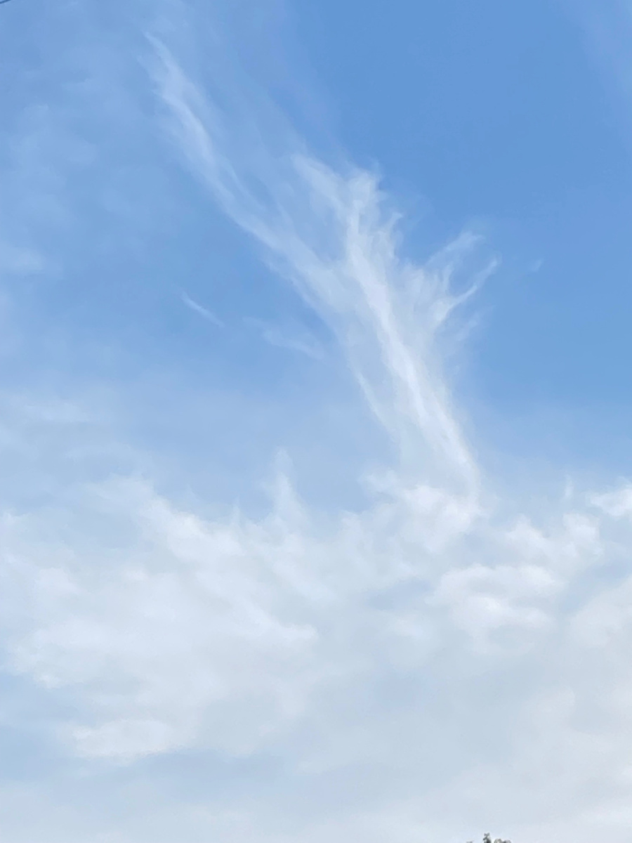 Фото автора. Умение увидеть красоту вокруг- тоже чудо 