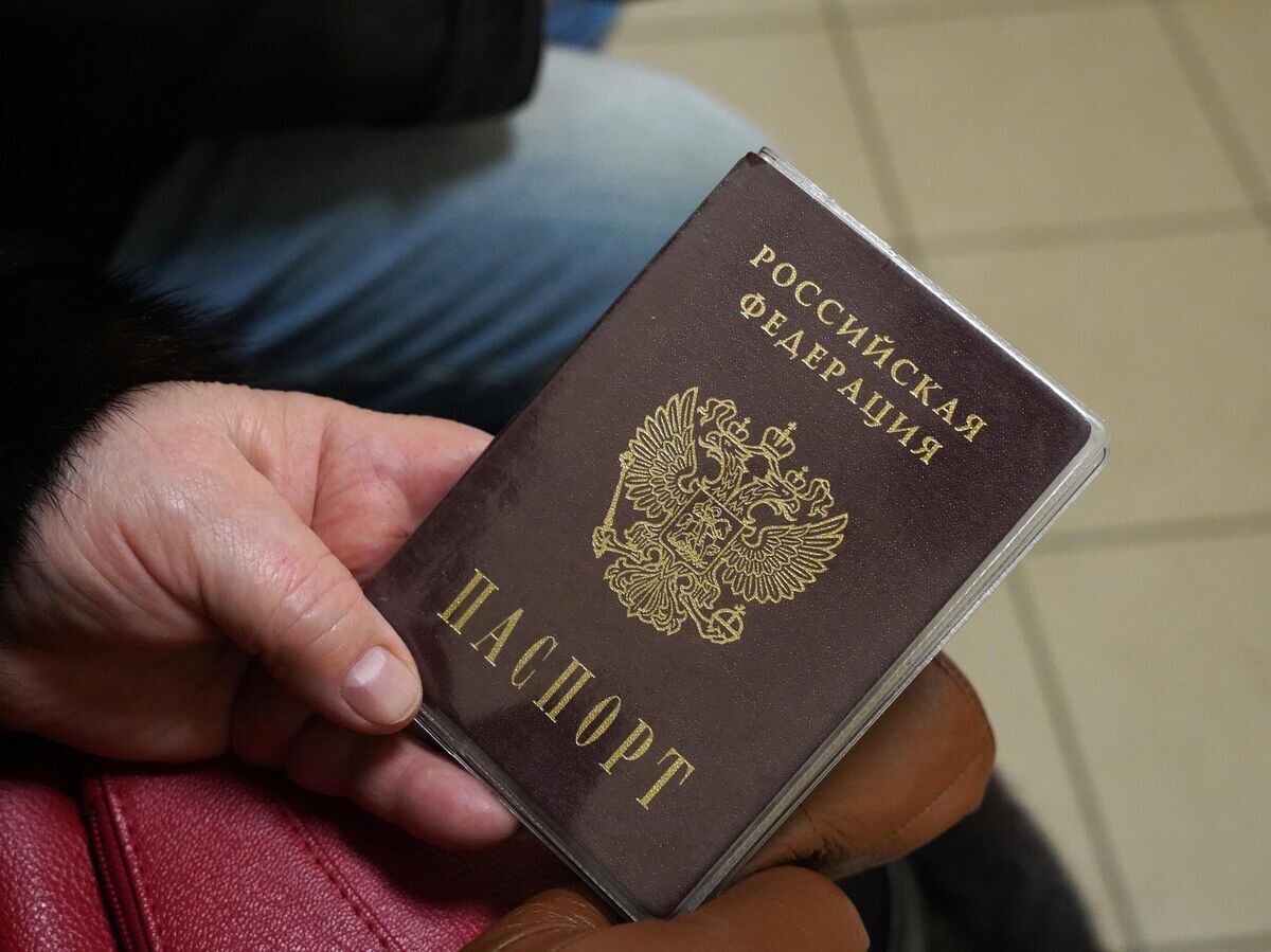    Посетитель с российским паспортом© РИА Новости / Сергей Батурин