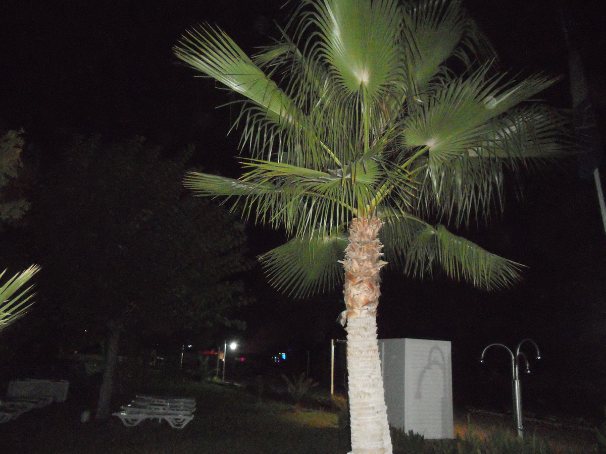 Авторское фото.