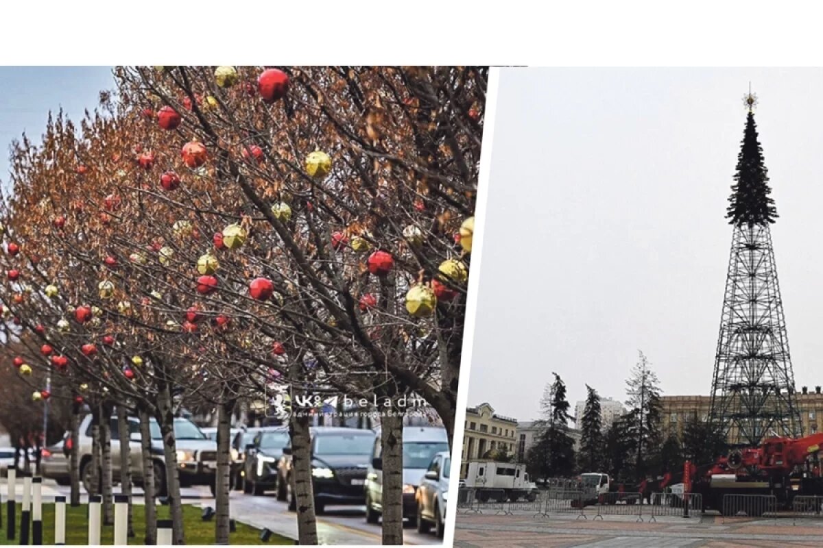    Новогодние украшения для областного центра в этом году – как символ надежды на лучшее.