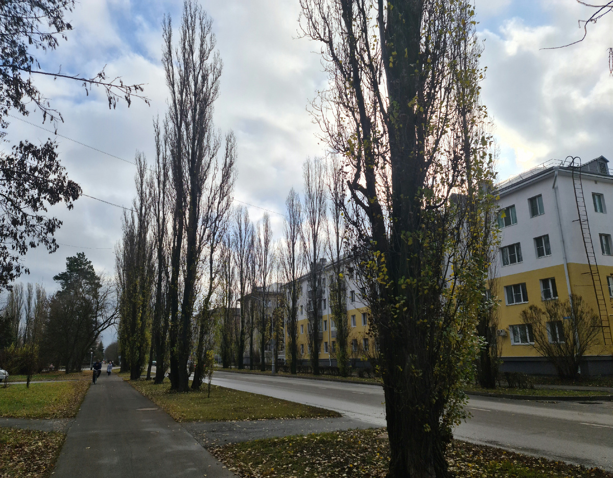 Небо зимой тоже разное и голубое бывает и с облаками и с тучами или без них. Туманы утром или поздно вечером, ночью тоже появляются, что не удивительно даже