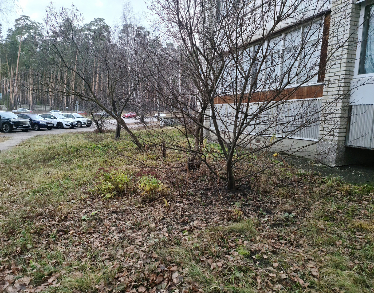 Зимой и владельцы машин тоже разбираются со всеми этими делами. Кто рули меняет, кто-то чехлы на сиденья новые, кто-то красит машину в новый цвет. Кто-то разбирается с долгами за нее. Все же хорошо быть и жить без машины и не знать этих проблем и ходить пешочком пока у всех непонятно что происходит