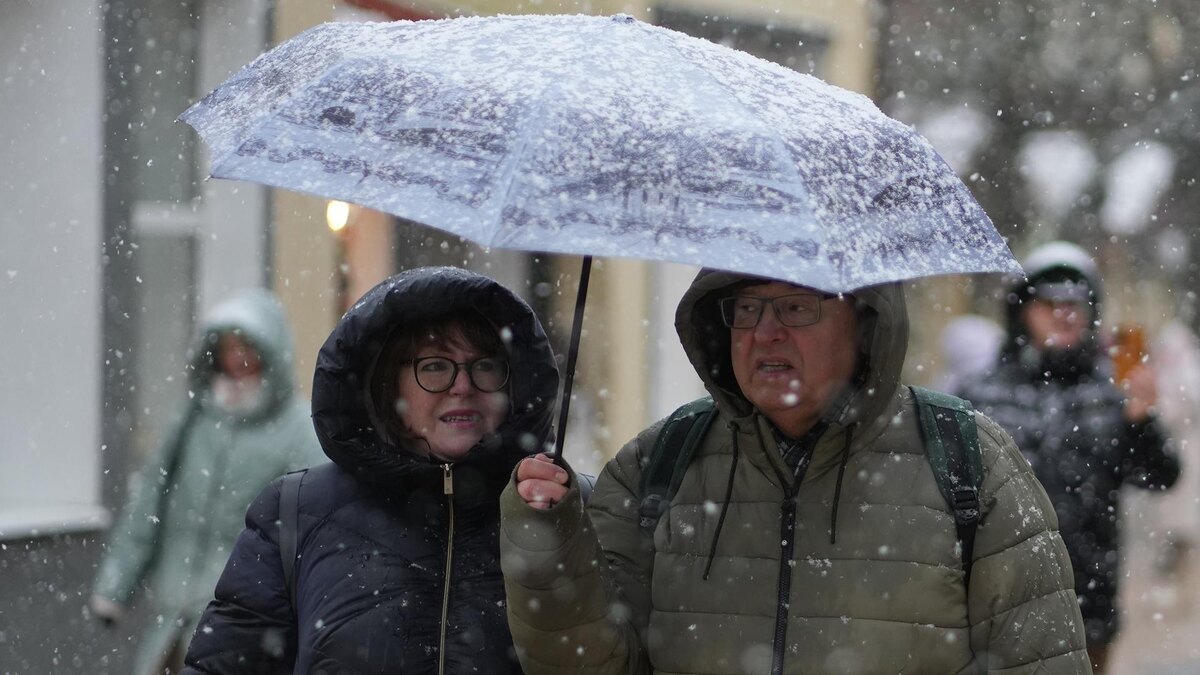    Фото: ИЗВЕСТИЯ/Дмитрий Коротаев