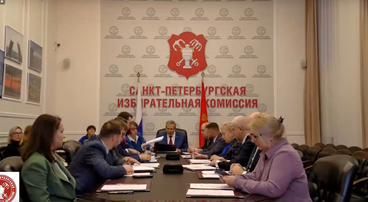 Фото: официальная группа ВКонтакте «Санкт-Петербургской избирательной комиссии»