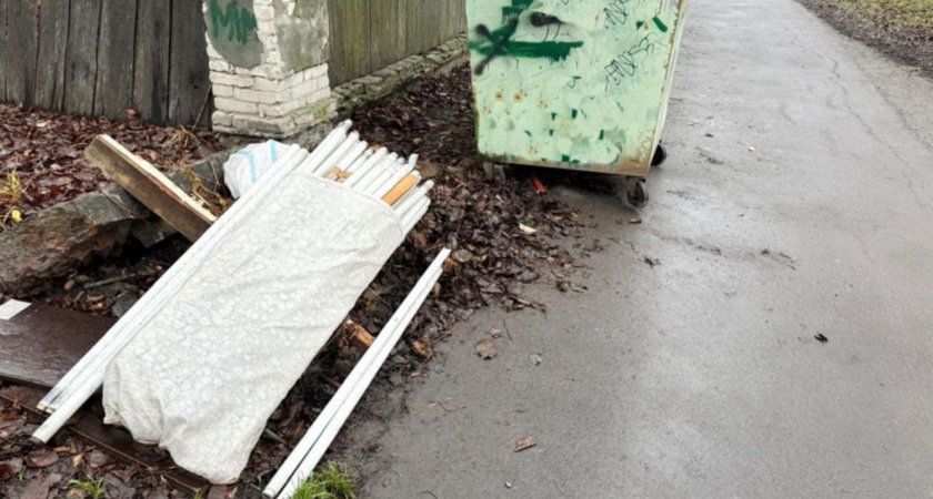    Фото: АО "Чистая планета"