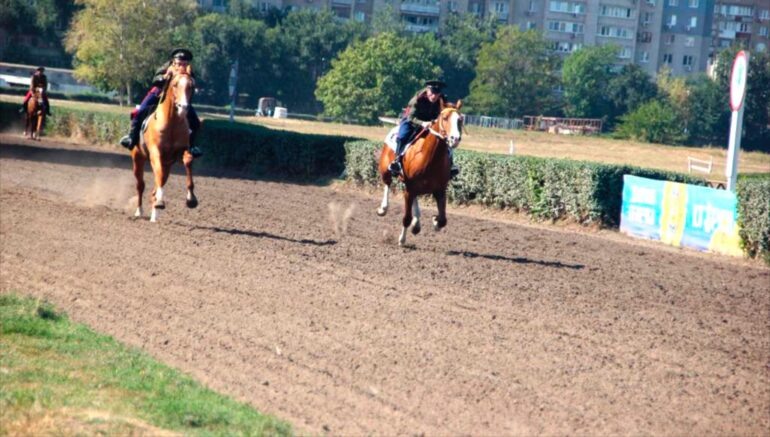    Ростовский ипподром. Фото: rosippo.ru