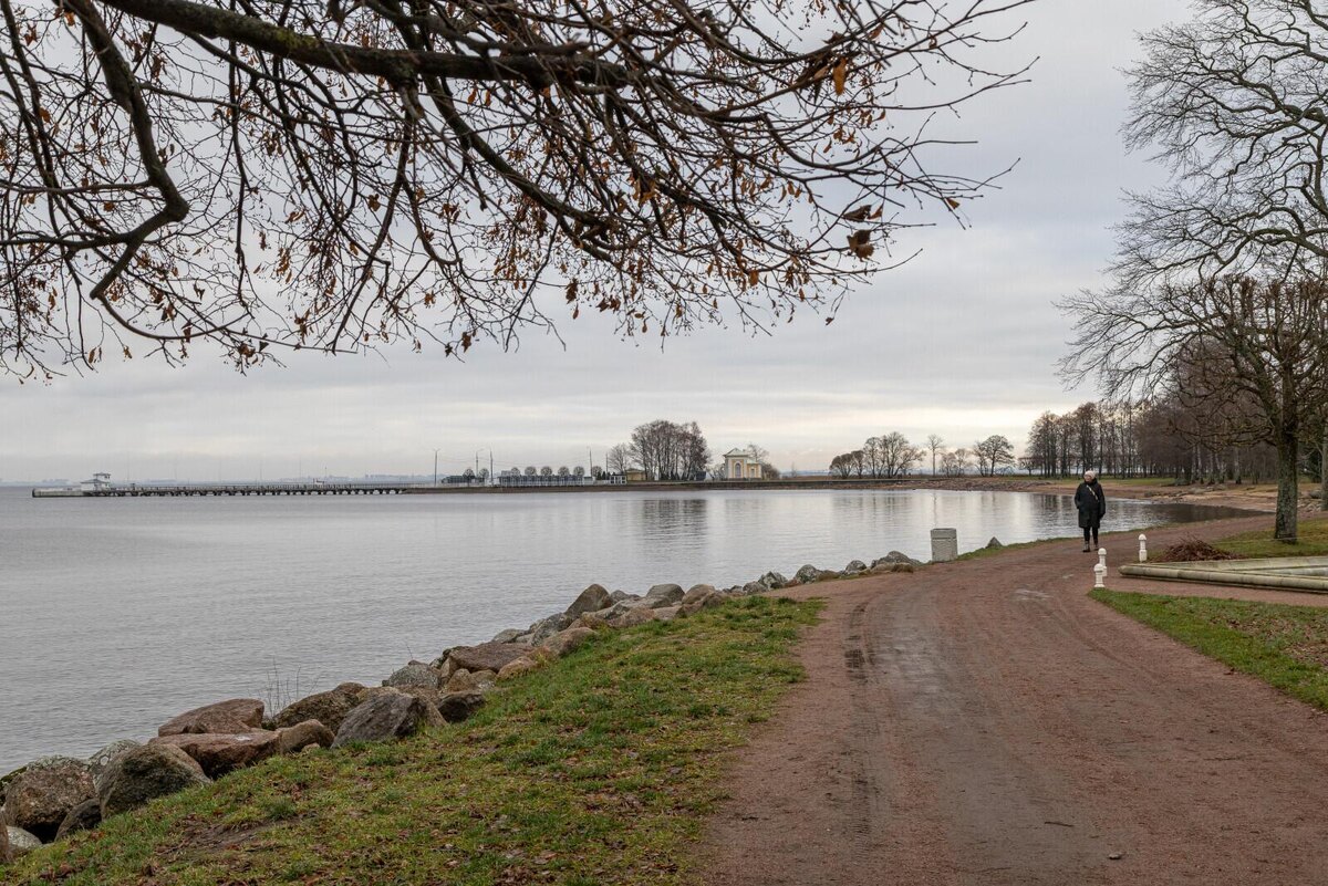 Фото: Олег Золото / «Петербургский дневник»