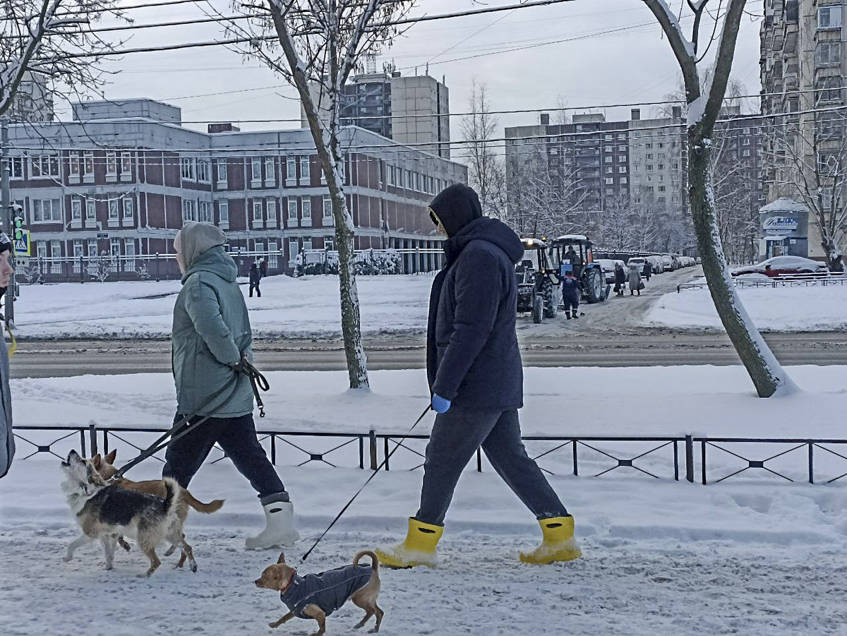 В социальных сетях инцидент вызвал бурное обсуждение.  Фото: ФедералПресс / Татьяна Буторина
