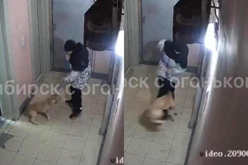    Фото: Новосибирск с огоньком