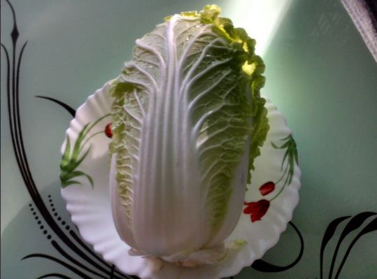 Пекинская капуста Ричи, фото автора