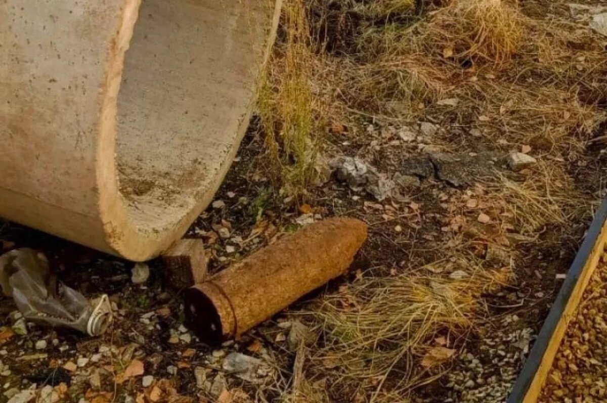    В Калининградской области уничтожили более тысячи боеприпасов времён войны
