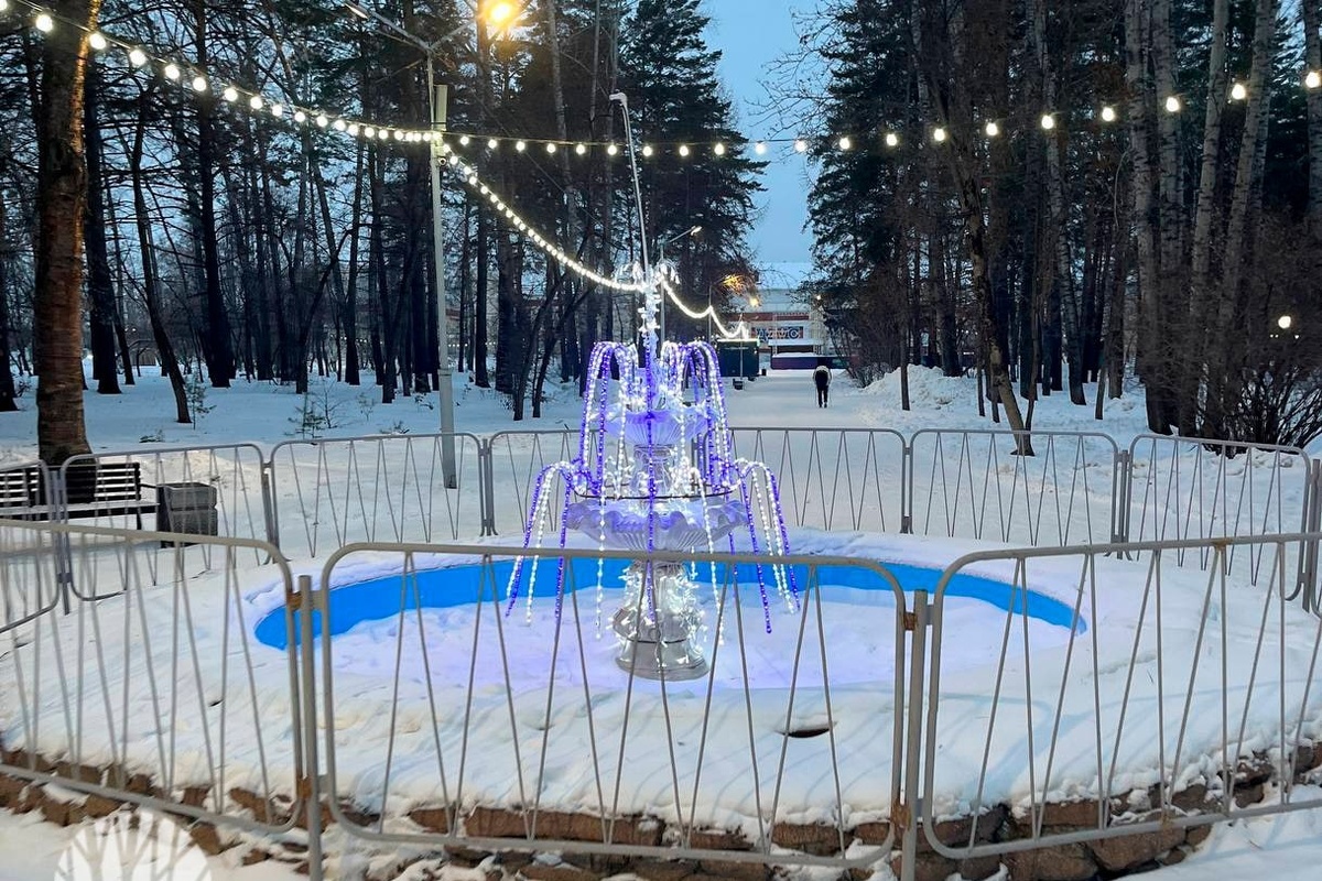    Фото: МАУ "Дирекция городских парков"