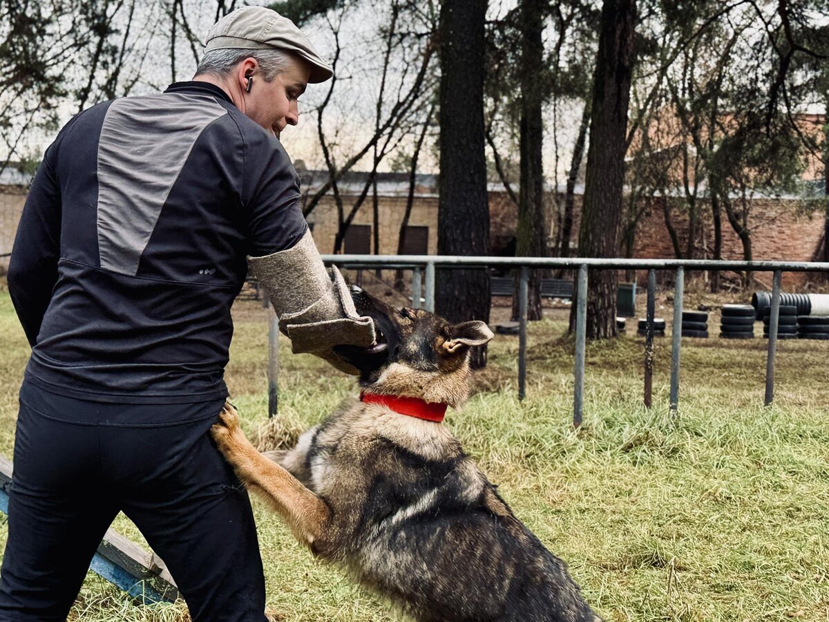     Фото: МедиаБанк Подмосковья/Ольга Стаферова