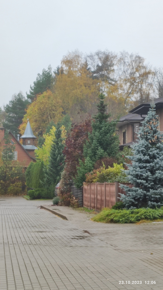    Осень очень хороша!