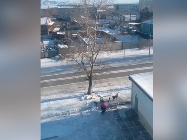    Фото: vk.com/school17rus