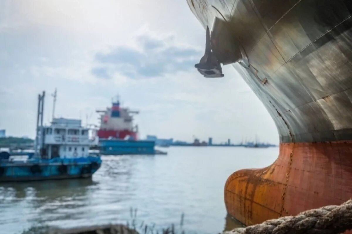    Росприроднадзор требует от порта Находки 6,5 млн за загрязнение бухты