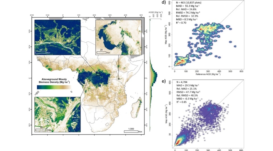   Pedro Rodríguez-Veiga et al. / Scientific Reports, 2025