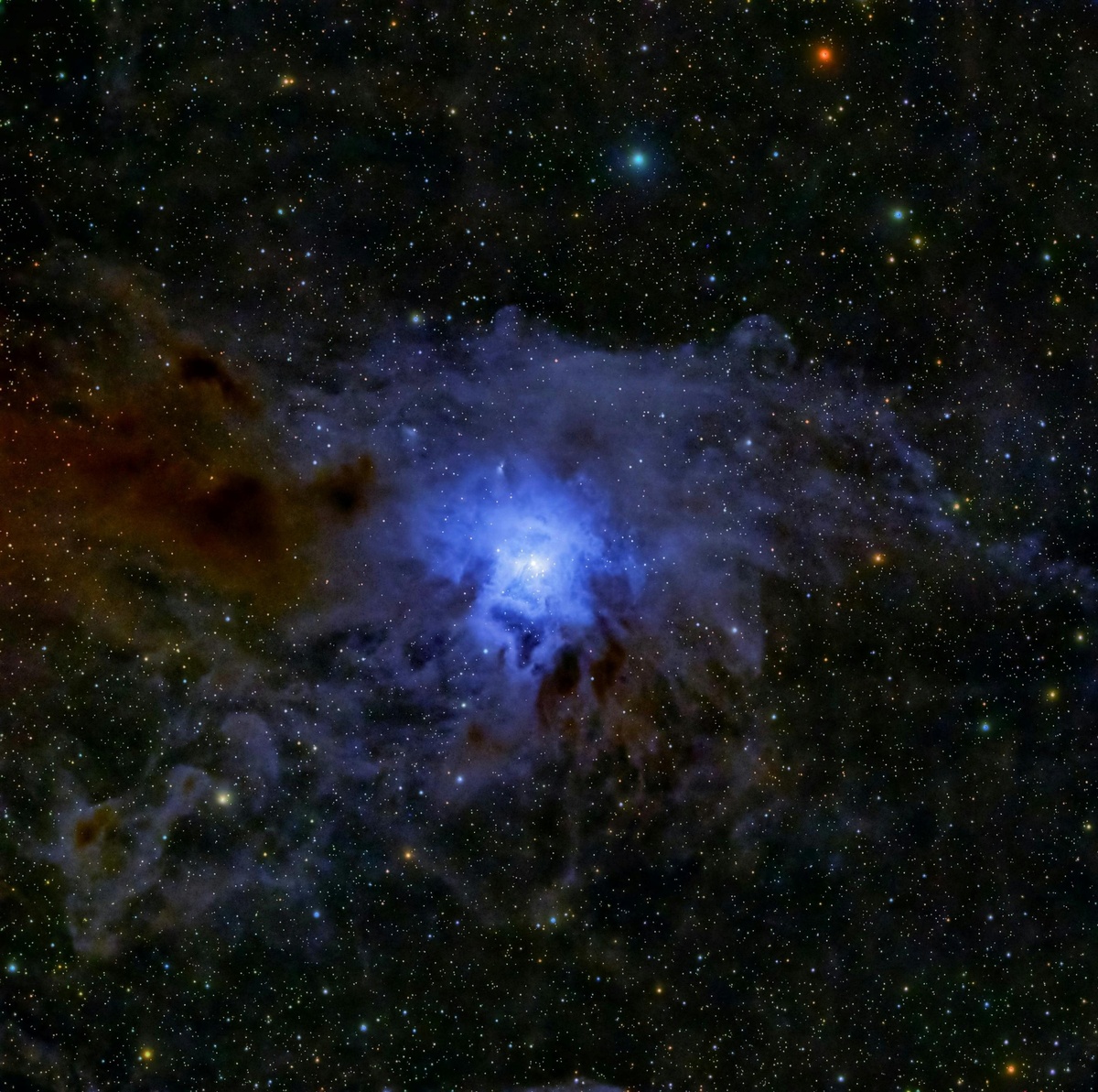 Источник: Scott Lord / Pexels  📷
