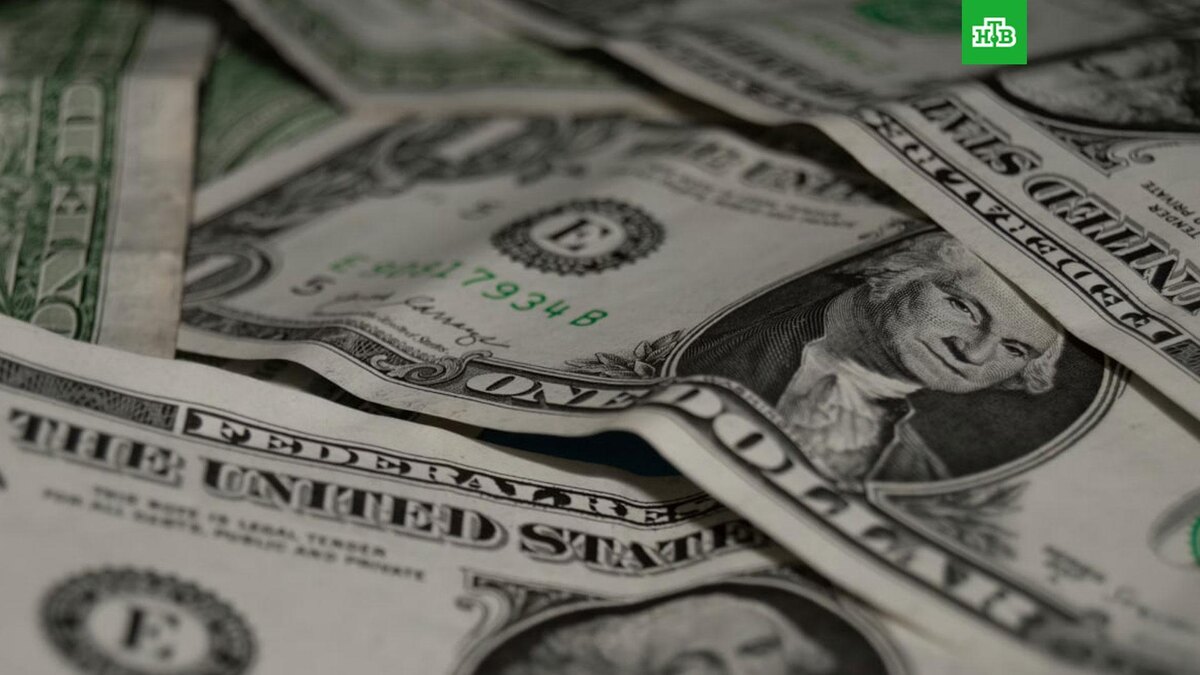    Фото: Niconor Brown / unsplash.com