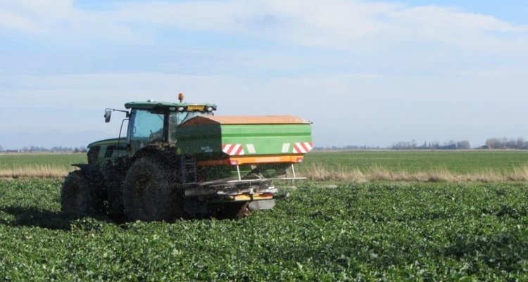    Фото: Hutchinsons