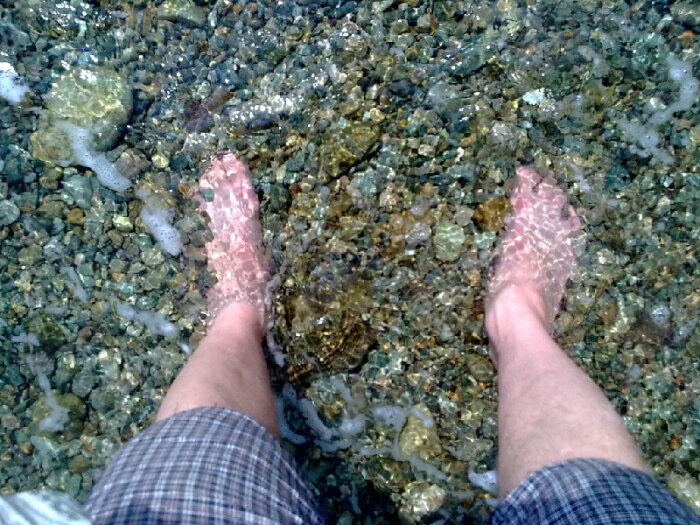 В некоторых местах морского ежа столько, что невозможно ходить босыми ногами по мелководью / Фото: Vostok.Today