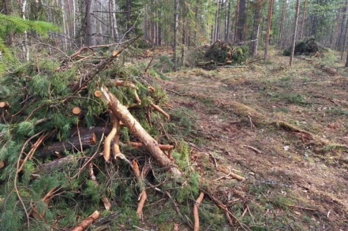    123 га земель потребовал расчистить нижегородский Россельхознадзор