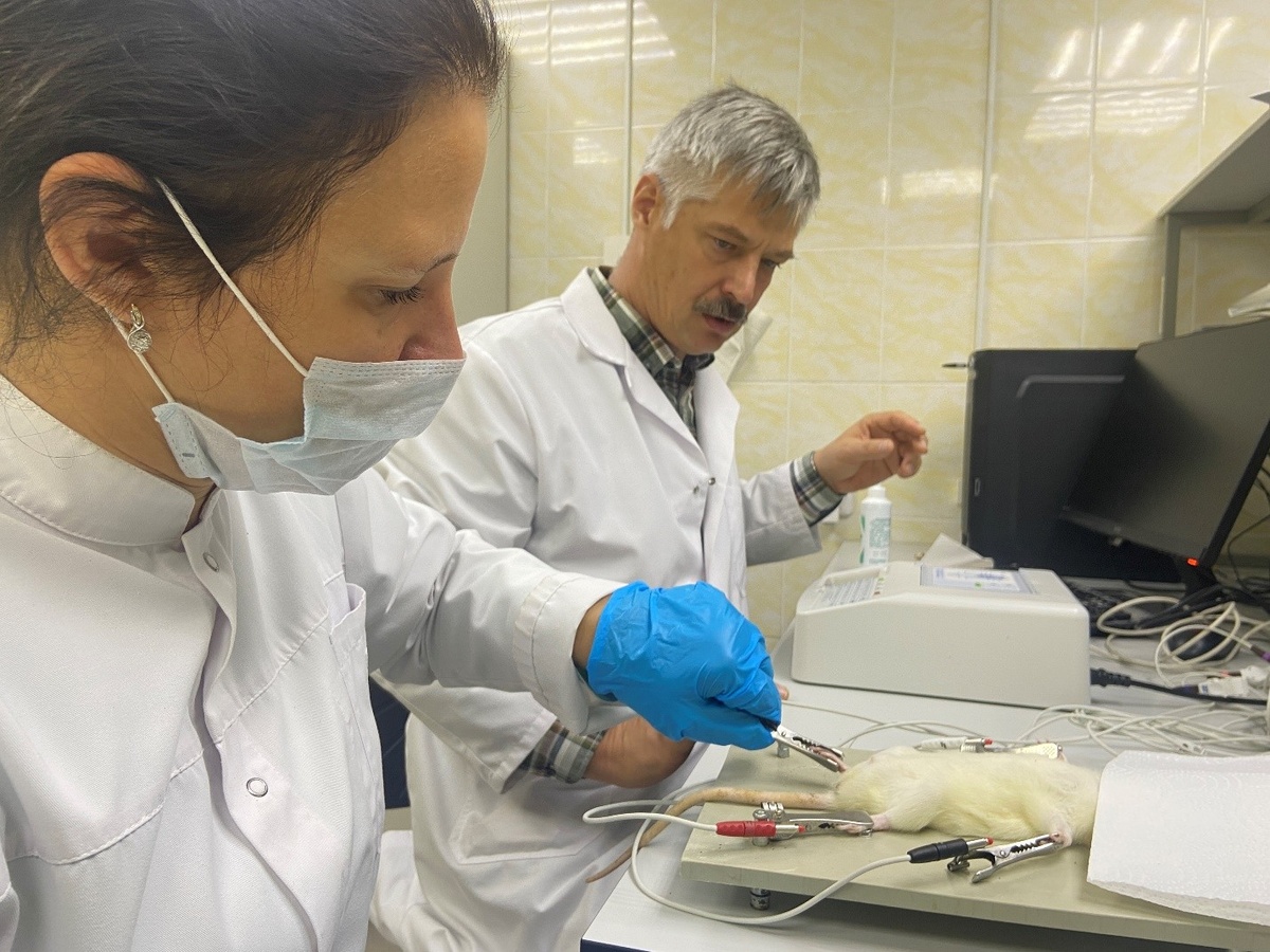 Екатерина Силина и Михаил Гладченко в институте экспериментальной медицины Курского государственного медицинского университета. Источник: Екатерина Силина