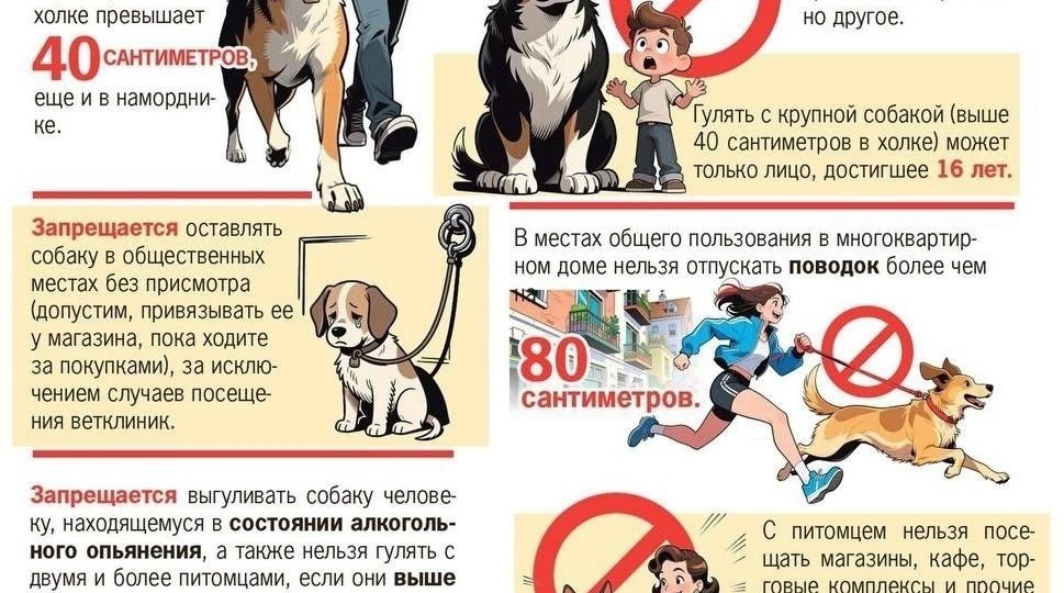 ⚡️ ТаксНовости