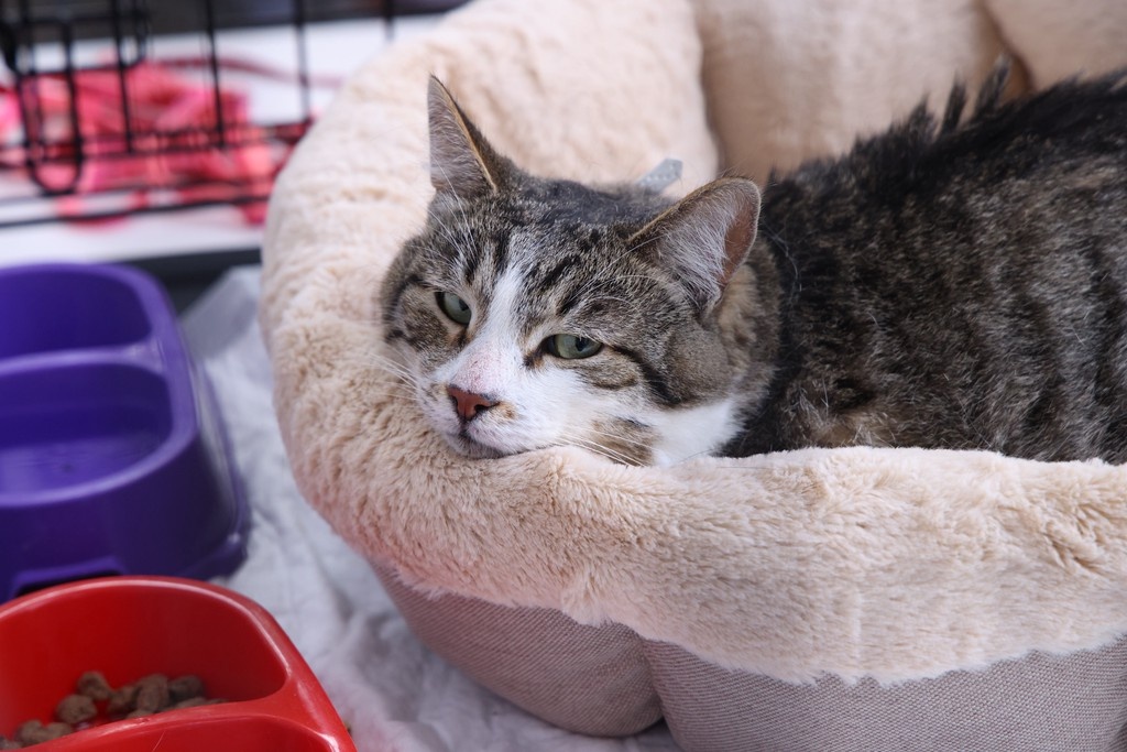    Фото © Анастасия Романова / Абзац