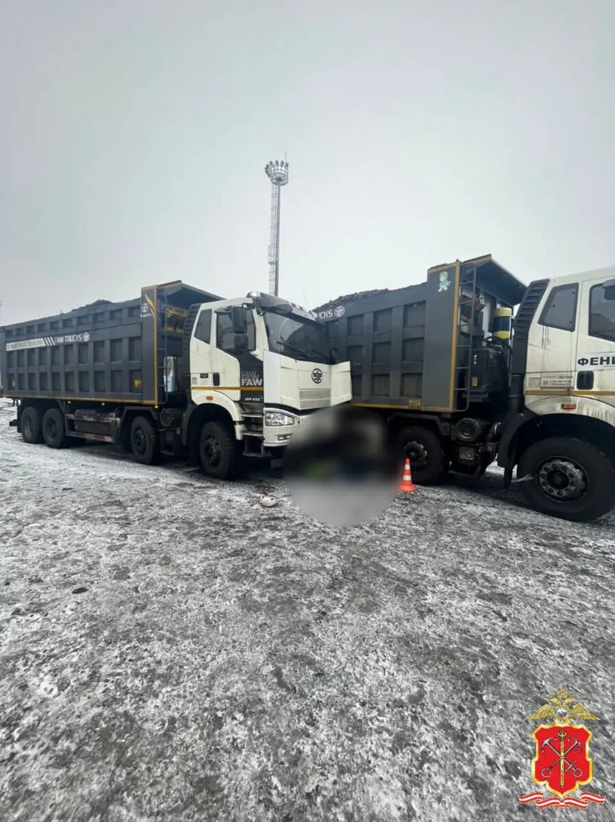    Фото: пресс-служба ГУ МВД России по Петербургу и Ленобласти