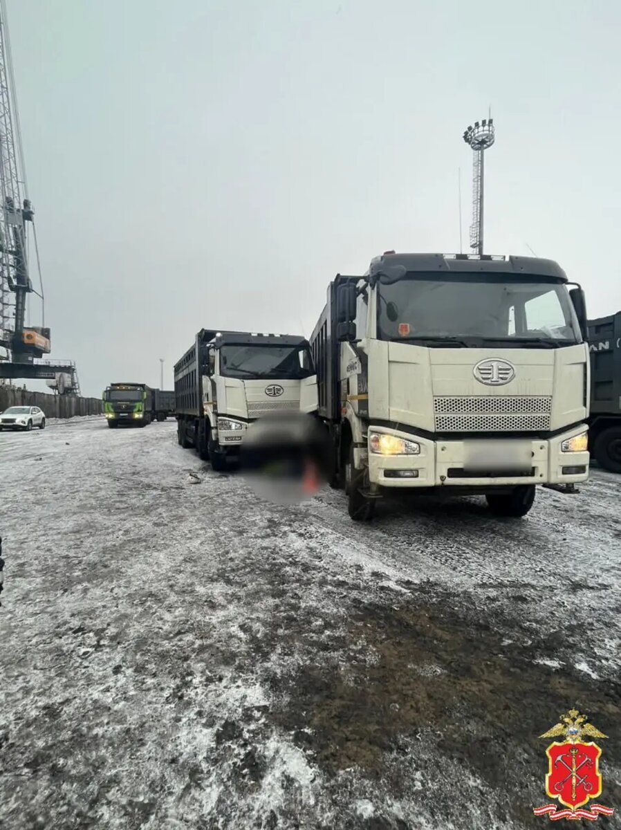    Фото: пресс-служба ГУ МВД России по Петербургу и Ленобласти