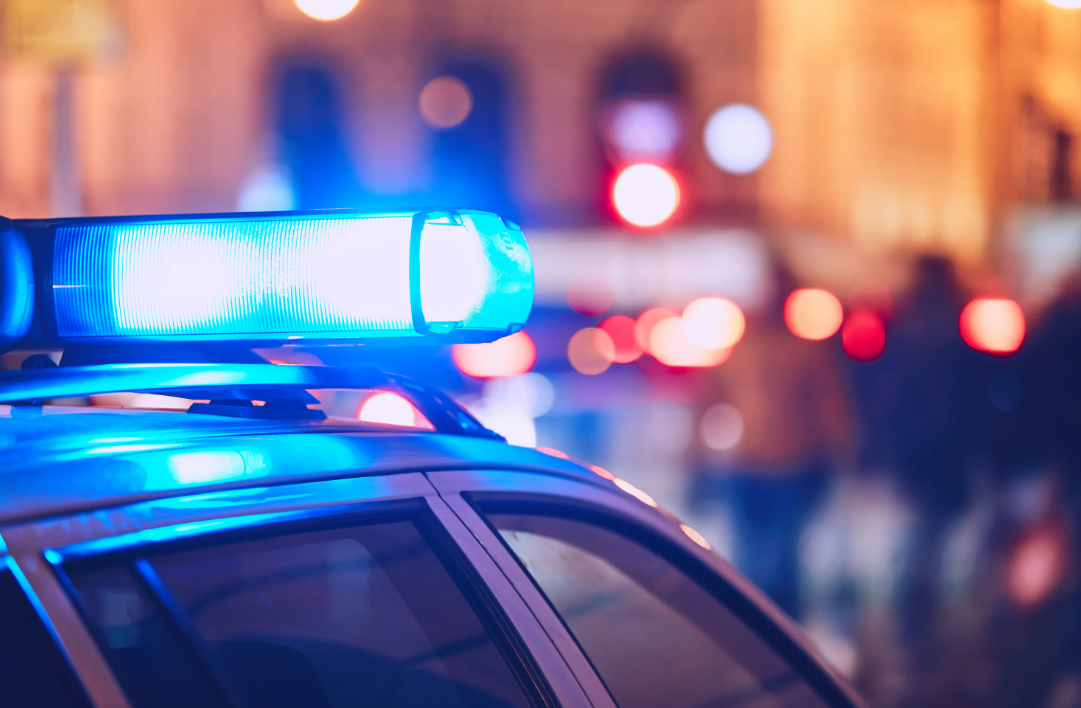 Фото: открытые источники