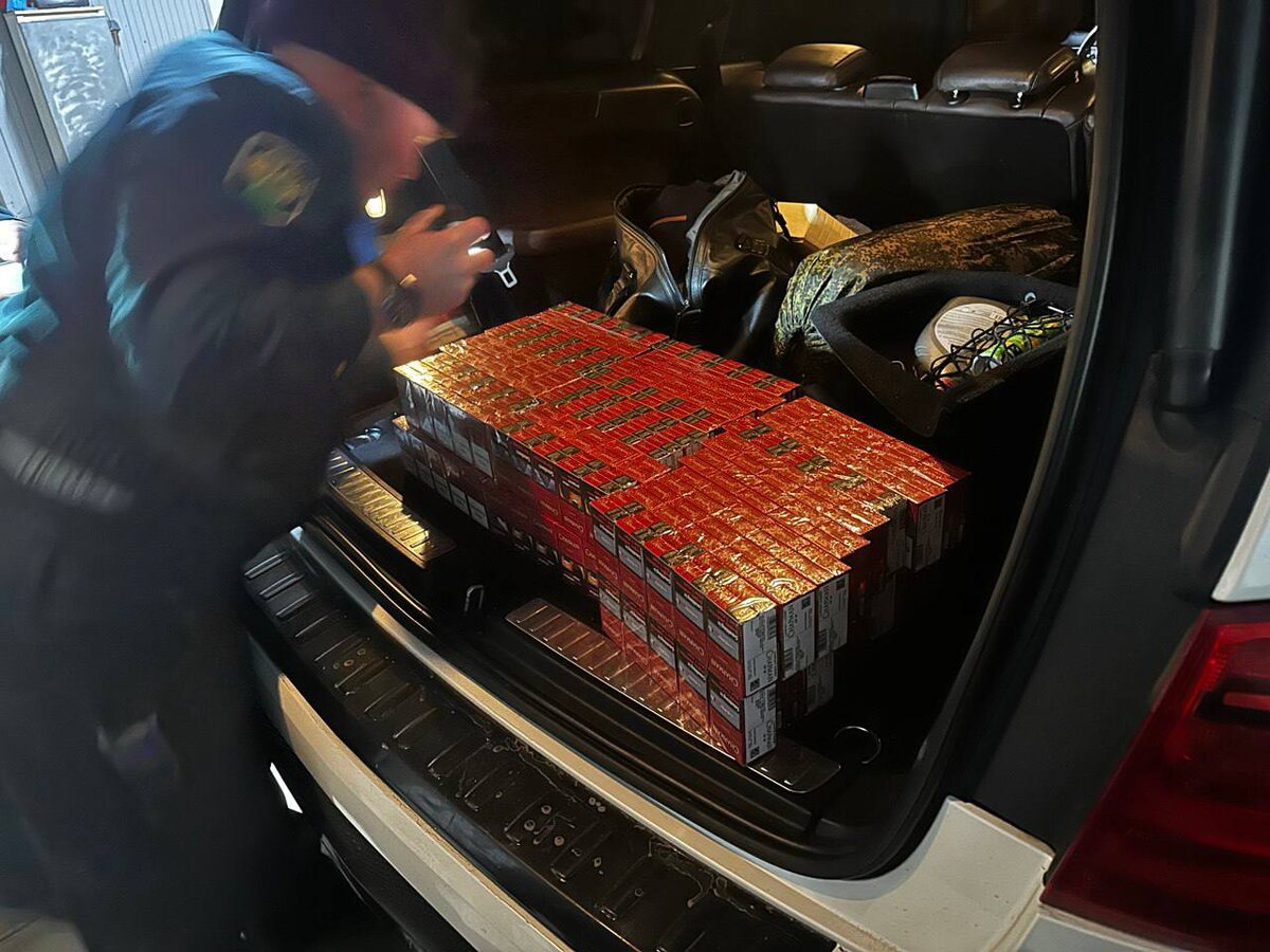    Фото: пресс-служба Сочинской таможни