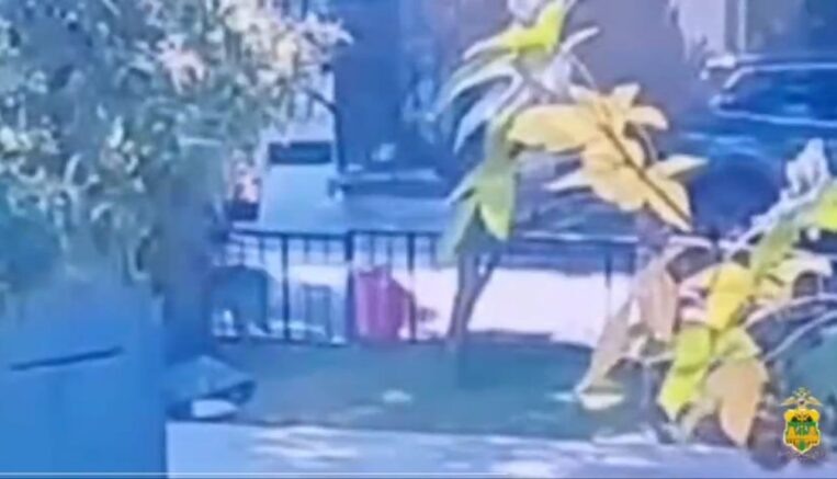    кадр из видео / ГУ МВД по Краснодарскому краю