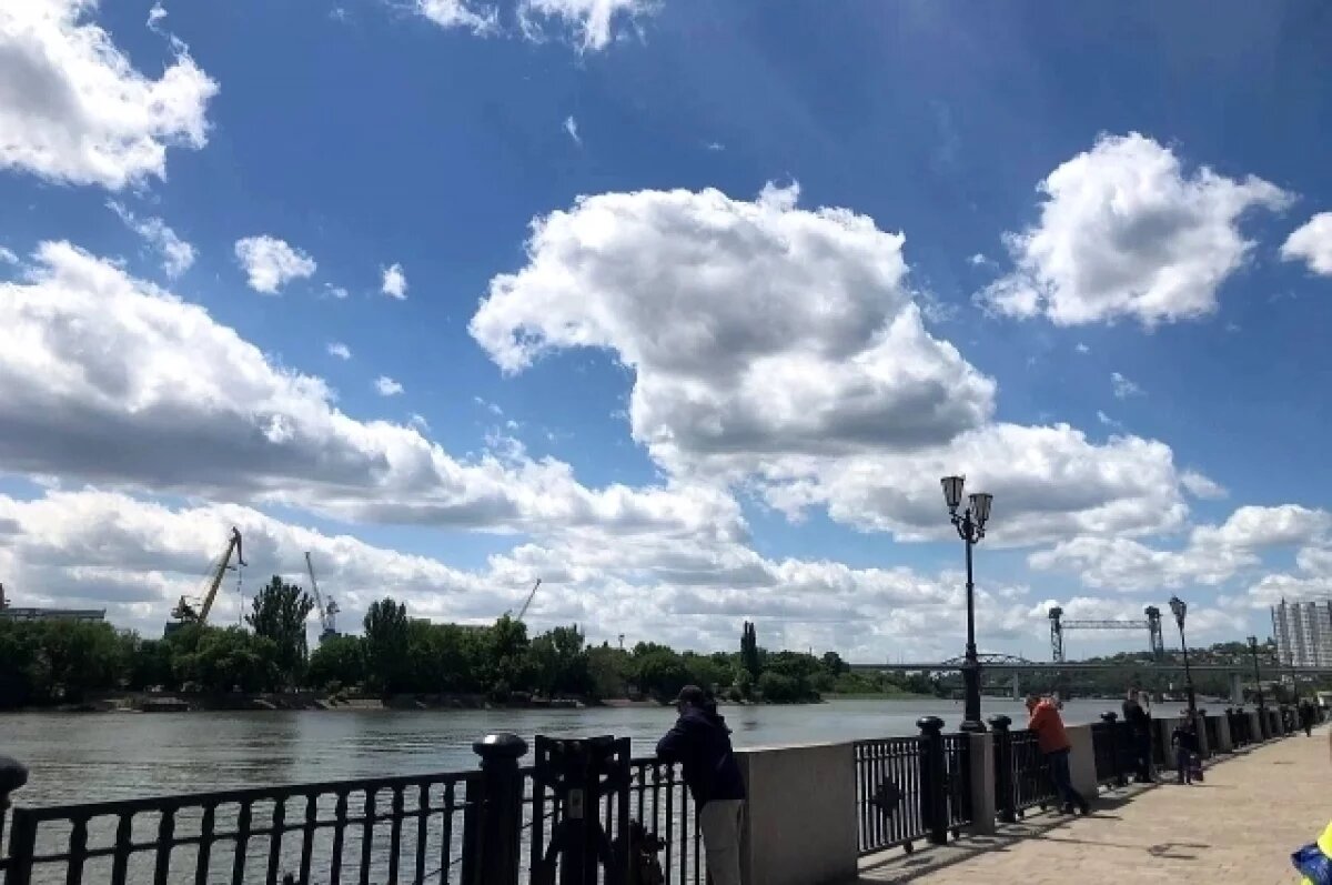    Сазаны и лещи могут покинуть донские водоёмы из-за «вселенцев»