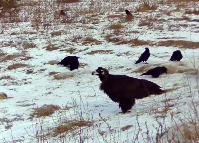    Фото: Пресс-служба Минприроды Забайкалья