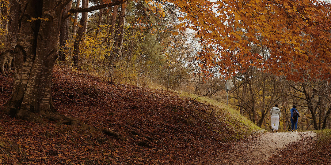 Случайный Кисловодск: как отказаться от путёвки в санаторий и устроить себе идеальный отпуск