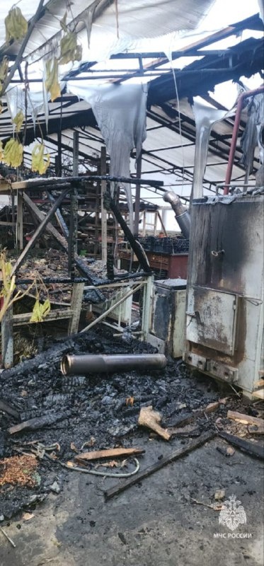    Фото пресс-службы ГУ МЧС России по Ростовской области Газета Колос