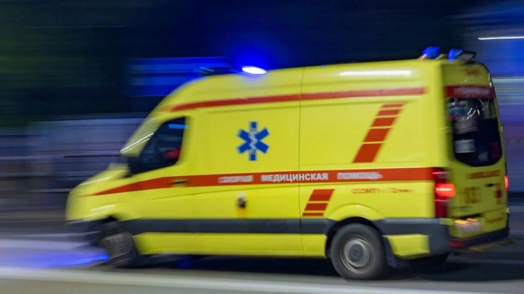    Фото: Федор Воронов/«Ямал-Медиа»