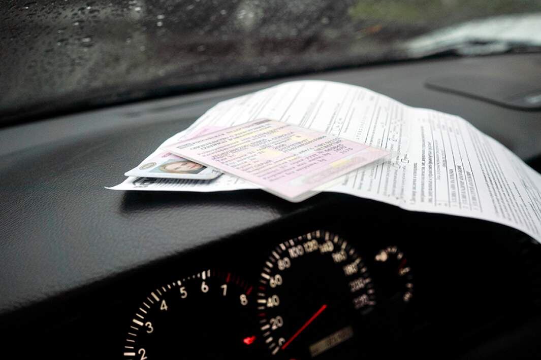 Фото: ИЗВЕСТИЯ/Анна Селина