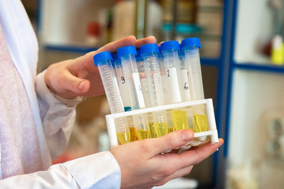 Фото: Дмитрий Ковшов