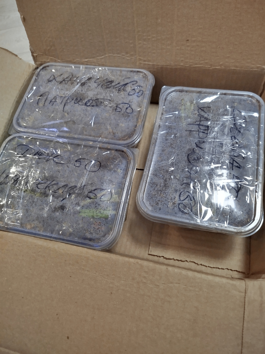 По два сорта в контейнере.